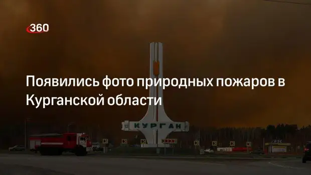 Фото природных пожаров в Курганской области появились в интернете