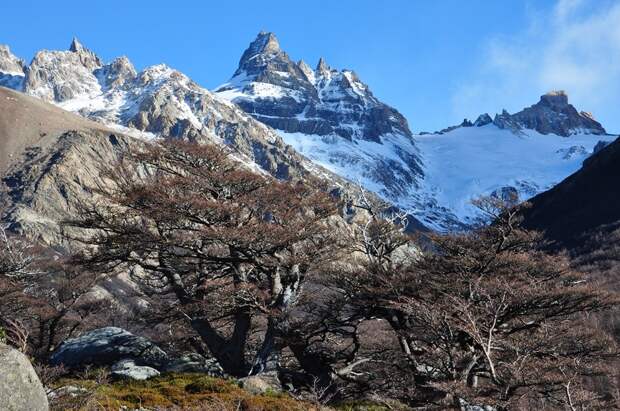 Patagonia39 Patagonia39 Патагония: Прогулка к горе Фицрой
