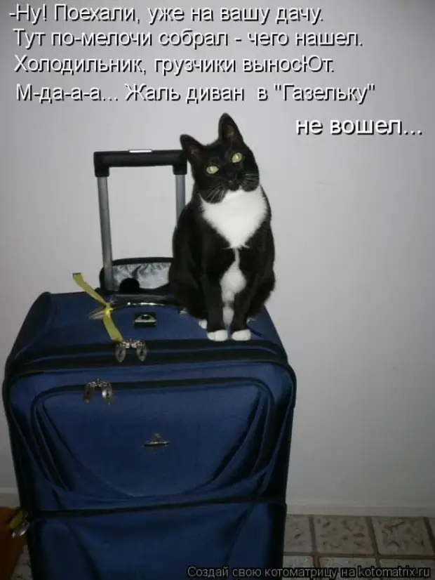 Хочу уехать из дома. С отпуском прикольные. Я В отпуске. Ушла в отпуск. Кот собирает чемодан.