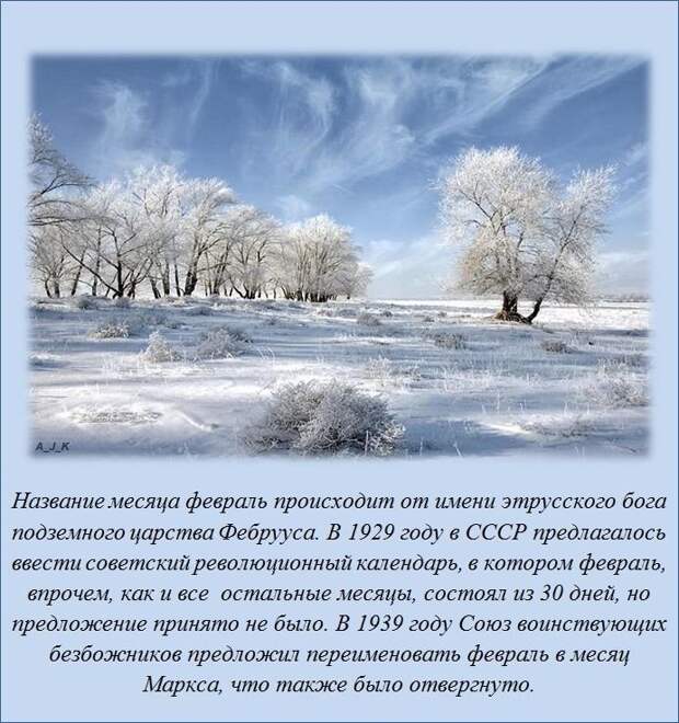 Интересные факты (20 фото)