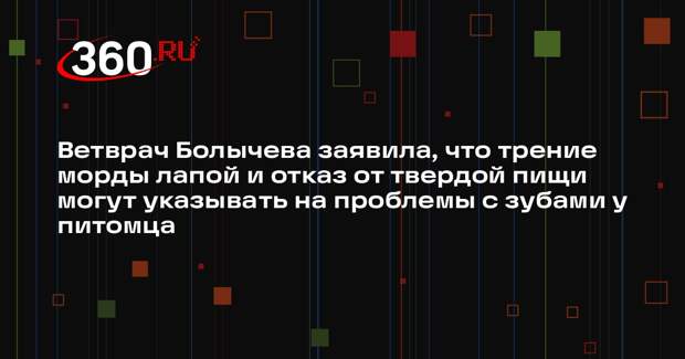 Ветврач Болычева заявила, что трение морды лапой и отказ от твердой пищи могут указывать на проблемы с зубами у питомца