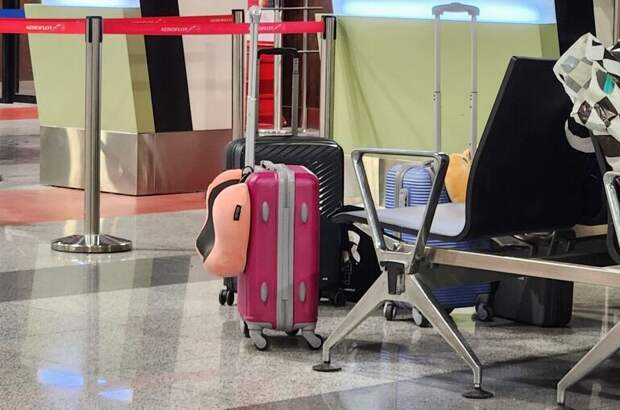 На поезд и в самолет пустят без паспорта