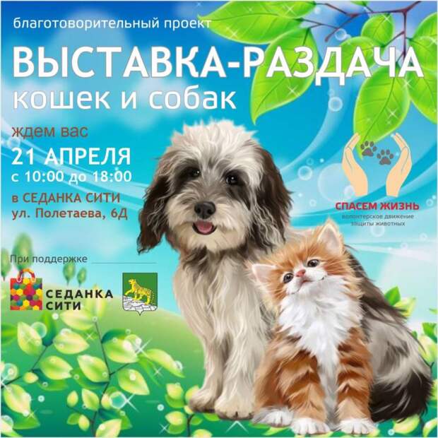 В ближайшее воскресенье во Владивостоке пройдет выставка-раздача животных