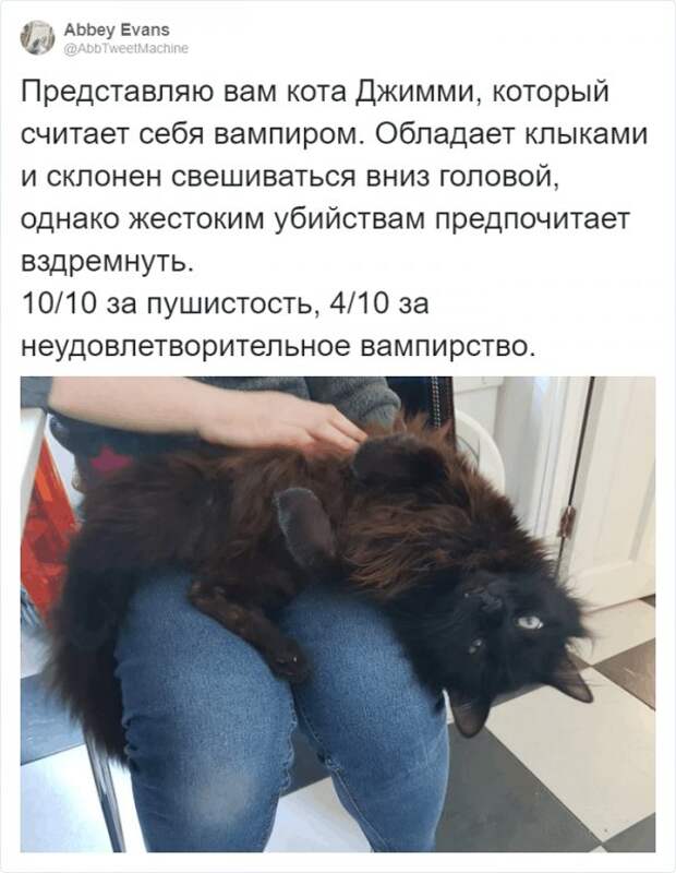 www.vsyako.net