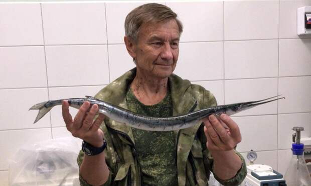 В Архангельской области рыбаки поймали тропическую рыбу