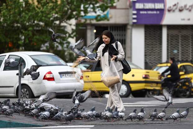 Стало известно о возможном продлении перемирия США и Ирана