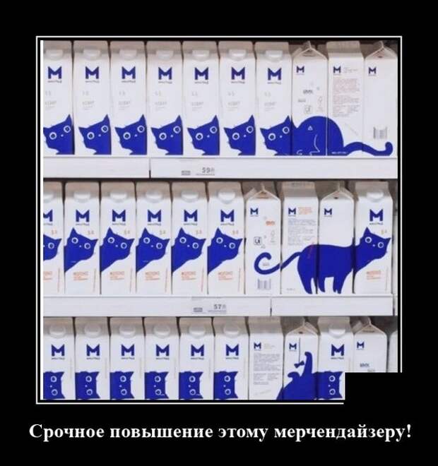Демотиватор про магазины