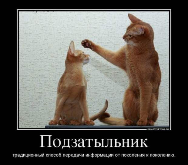 Новые прикольные демотиваторы (16 шт)