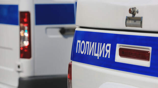 Пропавшую в Тверской области девочку нашли живой спустя день