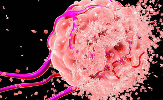 Сложные организмы Рак является неудачной ветвью эволюционного развития — и атакует он только сложные организмы, вроде человеческого тела. Чтобы понять, как появился рак, а значит и разработать действенные способы лечения, ученым и врачам приходиться возвращаться к самым фундаментальным процессам, протекающим в наших организмам: делению клеток.