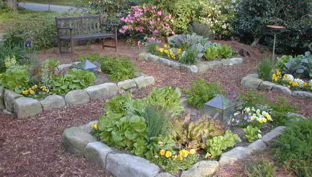 krasiviy-ogorod-foto-5 (600x340, 218Kb)