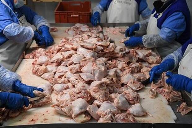 В России обновлён рекорд по производству мяса птицы — 7,3 млн тонн в 2025 году