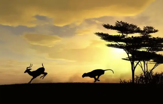 Эволюция мозга