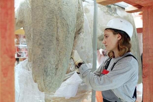В Ленобласти объявили конкурс на проект памятника княгине Ольге