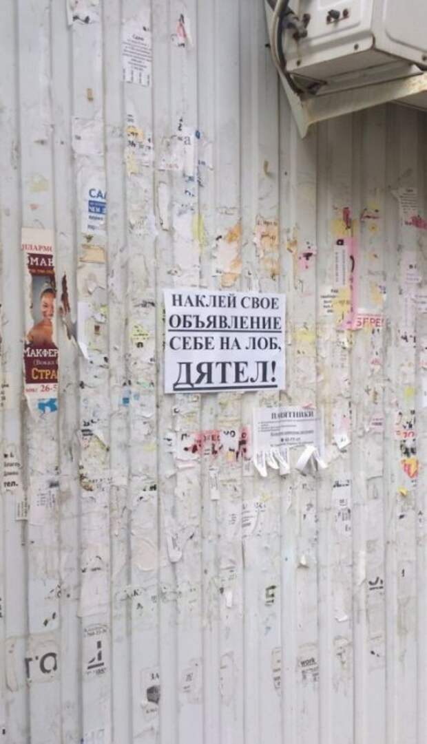 Забавные надписи и объявления Забавные надписи и объявления