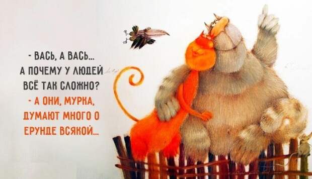 Картинки котяр с смешными надписями (34 фото) картинки, коты, юмор