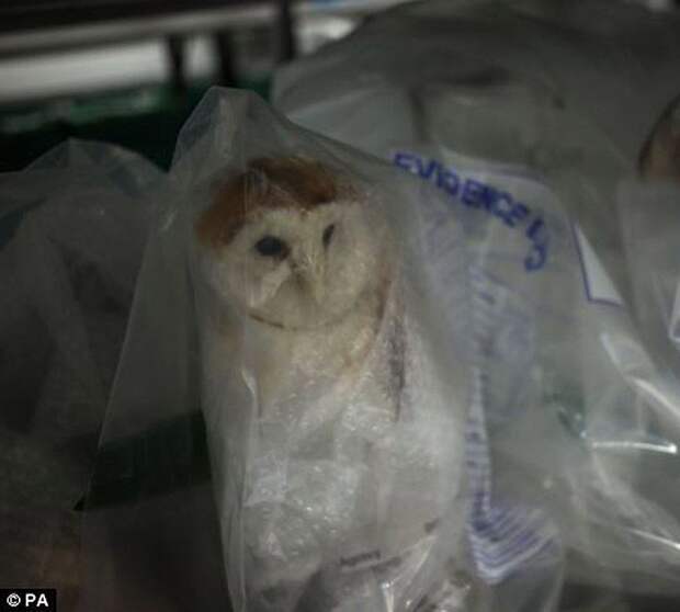 Разнообразие конфискованной контрабанды в аэропорту Лондона аэропорт, контрабанда, конфискация, Лондон, таможня