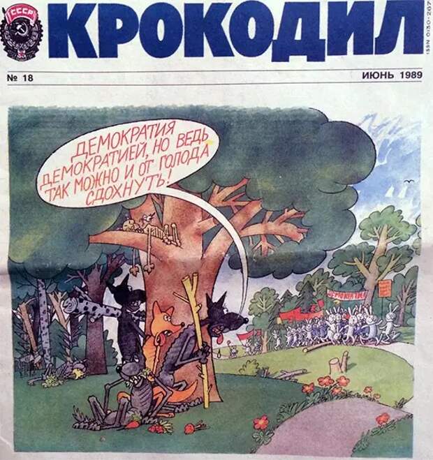 krokodil-011.800.webp