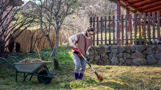 Снег сошел, что дальше: пошаговый план апрельской уборки участка в Центральной России