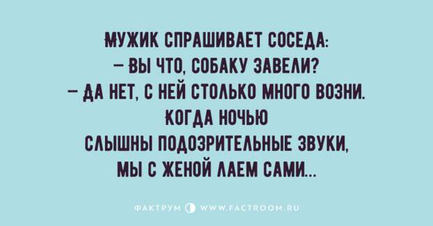 Самые забавные анекдоты, предназначенные для тех, кто немного заскучал Самые забавные анекдоты, предназначенные для тех, кто немного заскучал