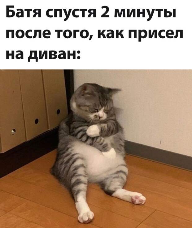 Смешные картинки вечер 8 сентября 2021 года