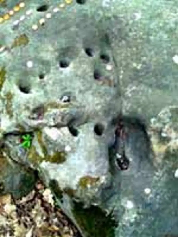 Чёртово городище в Калужской области