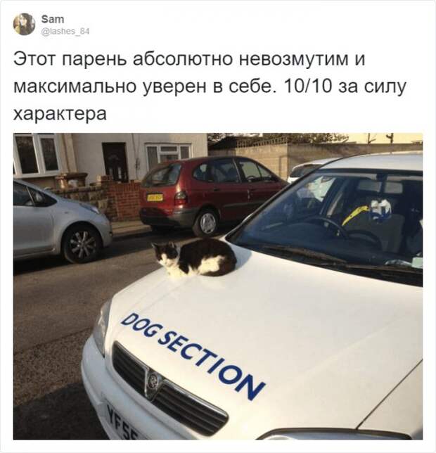 www.vsyako.net