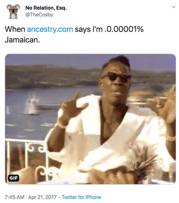 ancestry.com meme