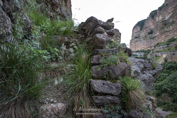 кавказ,эльтюбю, греческая, лестница, кабардино-балкария
