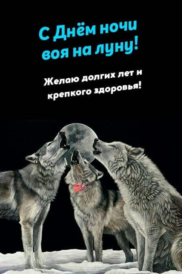 Веселые открытки в День и ночь воя на луну, 26 октября