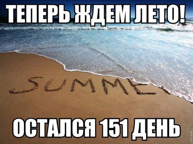 Новогодние приколы