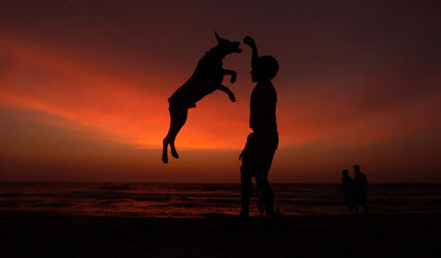 boy_story_650_052014110827 (1)