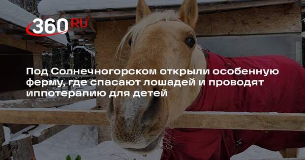 Ферма «Заклинатель» даст шанс на реабилитацию детям с ДЦП