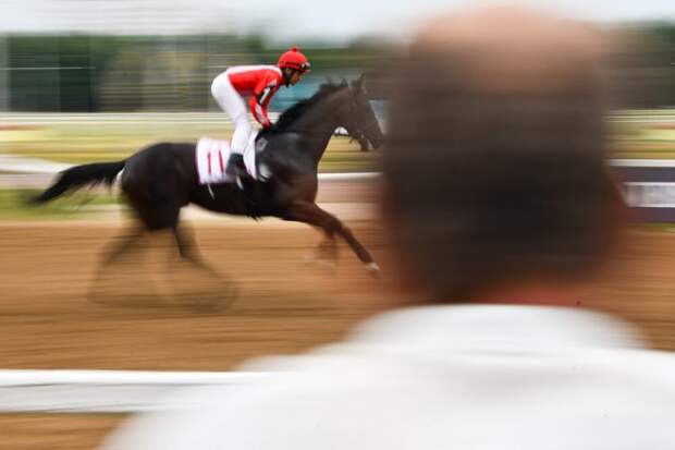 На Беговой откроют мемориальную доску в память о заслуженном тренере СССР Григории Анастасьеве