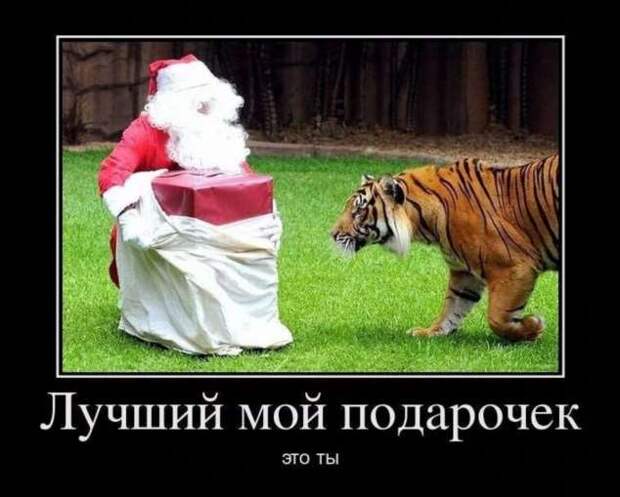 Прикольные демотиваторы с надписями. Подборка chert-poberi-dem-chert-poberi-dem-35290913072020-3 картинка chert-poberi-dem-35290913072020-3