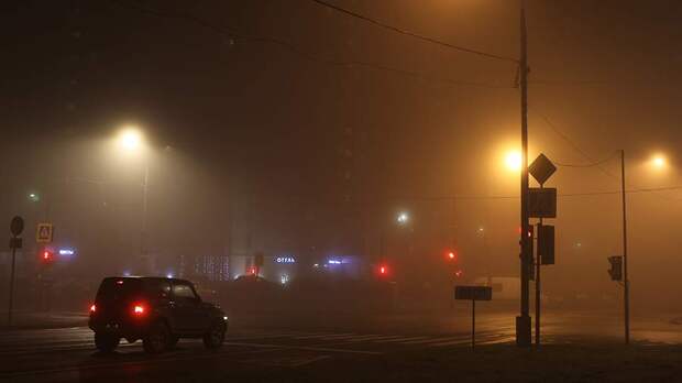 МЧС предупредило о тумане с видимостью 200–700 м в Подмосковье