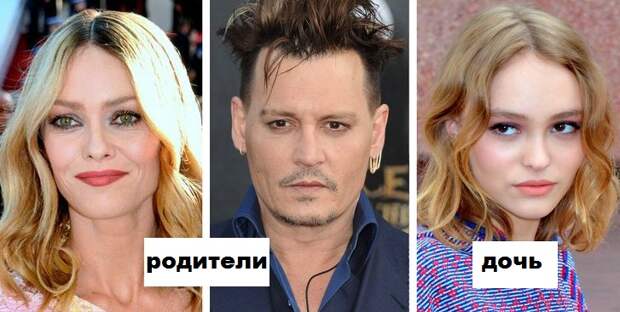 Какие гены передаются от отца к дочери или какие генетические черты дети берут от мамы, а какие от папы