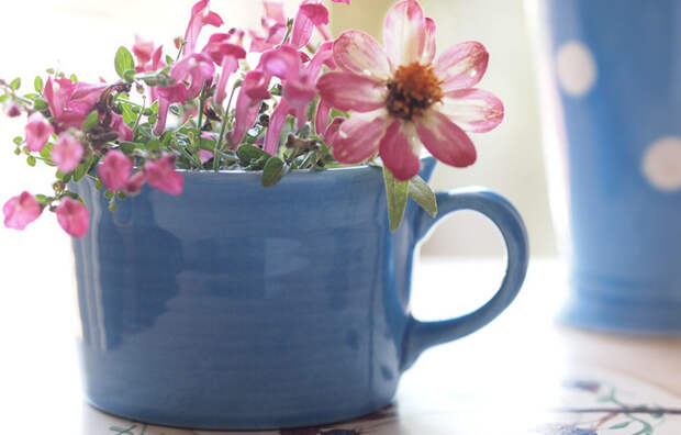 90130679_0_a08d5_a7c8341d_XL (700x448, 90Kb)