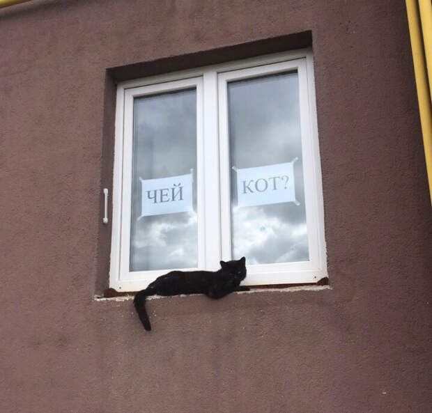 «Это не мой, мне подкинули!» | Фото: Пикабу.