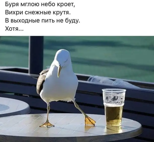 Не хочешь идти ко дну — не храни камни за пазухой Не хочешь идти ко дну — не храни камни за пазухой потом, девушки, читать, просто, тихий, танцуют, практически, холодный, колокольчик, лежат, одном, месте, самымЛюбой, мужчина, знает, полная, Разработанный, сковорода, кормит, пустая