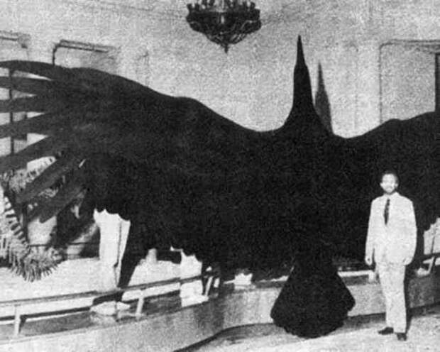 Нешкольная история
