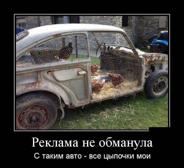 Позитивные и прикольные демотиваторы для настроения (11 фото)