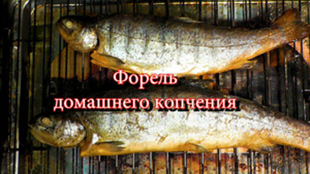 Фото к рецепту: Форель домашнего копчения. Фото к рецепту: Форель домашнего копчения.
