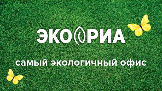 Лёгкий способ бросить сорить: пошаговый отказ от использования пластика