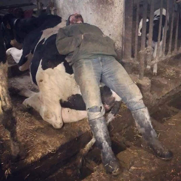 Высыпайтесь Сон, Длиннопост, Поспатьбы, Утро