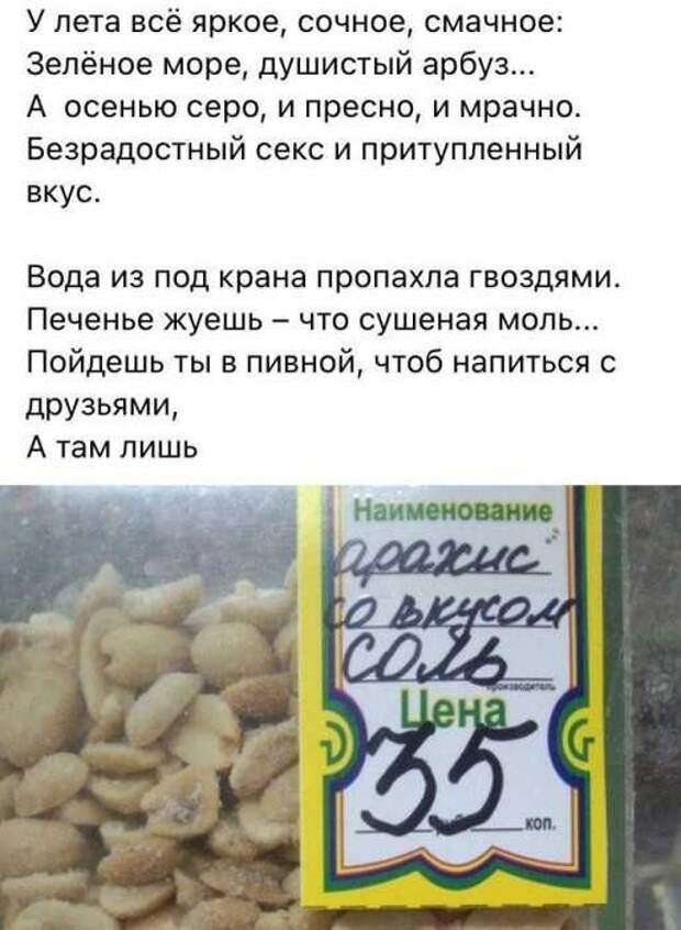 1600916726_10.jpg