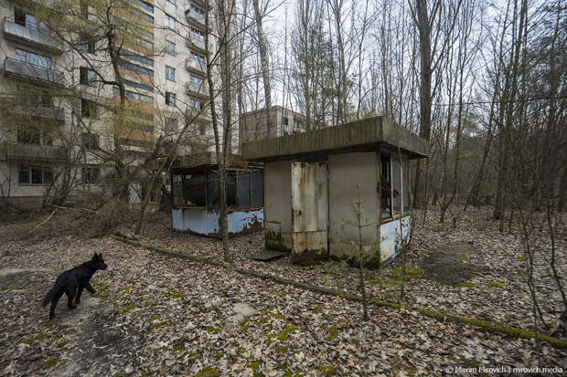 Припять. Как жили работники ЧАЭС.