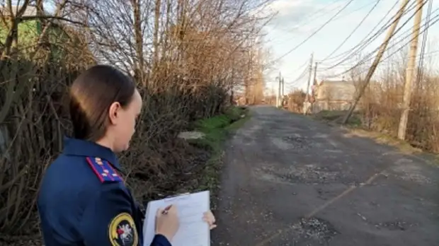 В Череповце завершили следствие об убийстве 5-летней давности на дачах