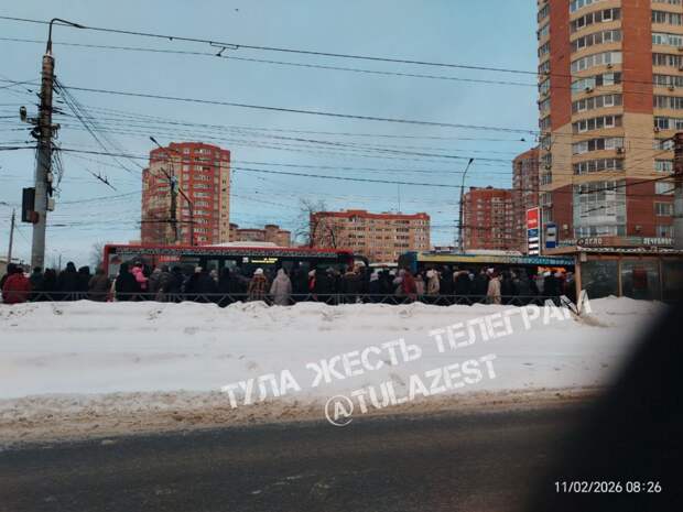 Жители Тулы пожаловались на работу общественного транспорта