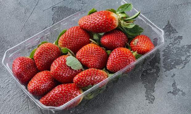 Как проверить апрельскую клубнику на качество, объяснила врач Павлова